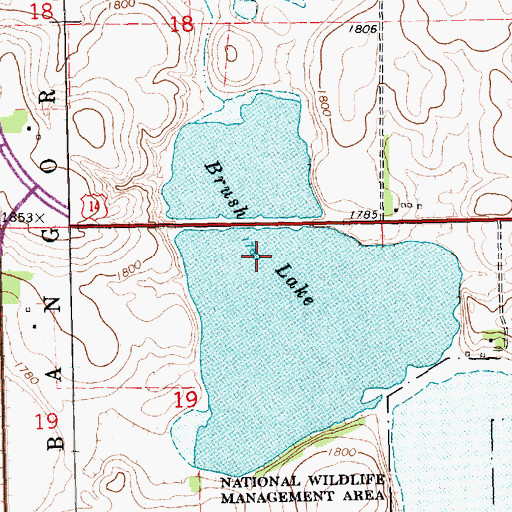 Topographic Map of Brush Lake, SD