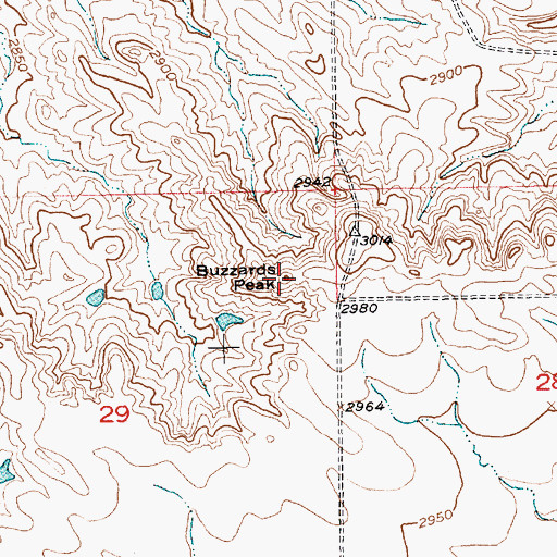 Topographic Map of Buzzards Peak, SD