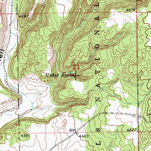Topographic Map of Cedar Spring, SD