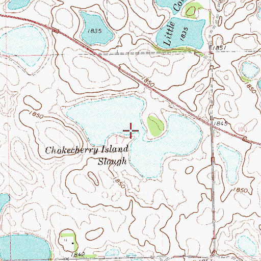 Topographic Map of Chokecherry Island Slough, SD
