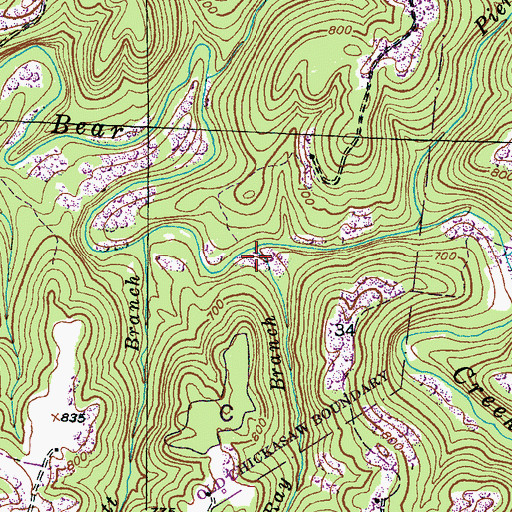 Topographic Map of Ray Branch, AL
