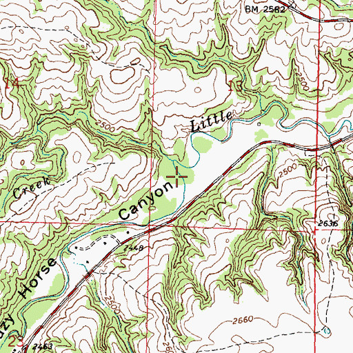 Topographic Map of Crazy Horse Canyon, SD
