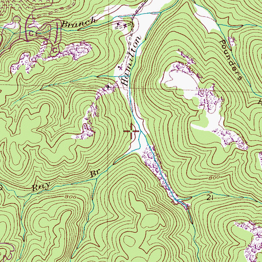 Topographic Map of Ray Branch, AL