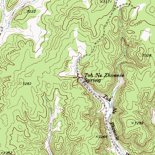 Topographic Map of Toh Ne Zhonnie Spring, AZ