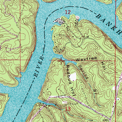 Topographic Map of Redbud Hollow, AL