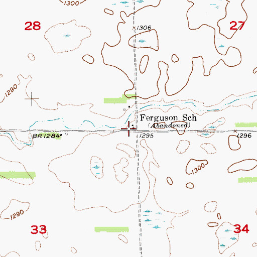 Topographic Map of Ferguson School, SD