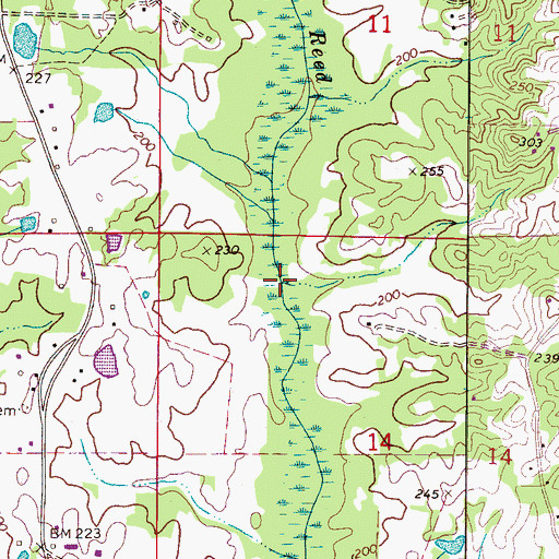 Topographic Map of Reed Swamp, AL