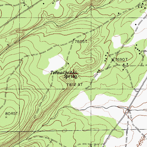 Topographic Map of Tohnalchai Spring, AZ