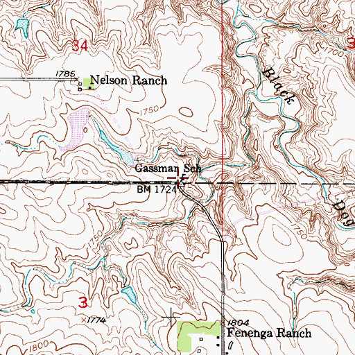 Topographic Map of Gassman School, SD