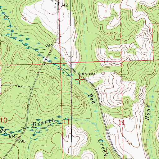 Topographic Map of Reedy Creek, AL