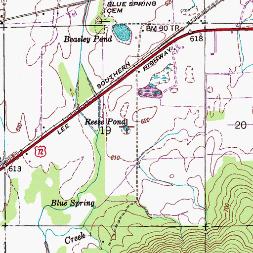 Topographic Map of Reese Pond, AL