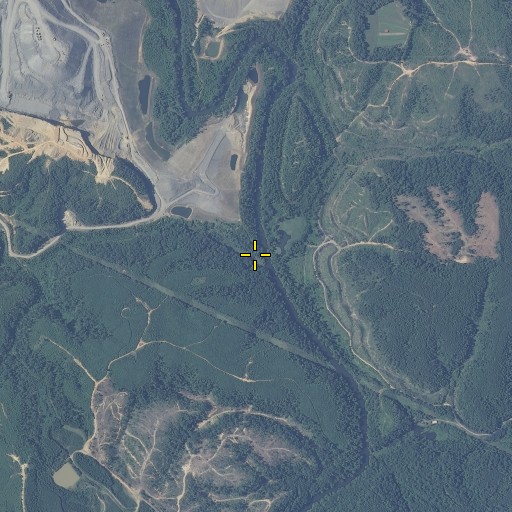 Aerial/Satellite Image of Reeses Branch, AL