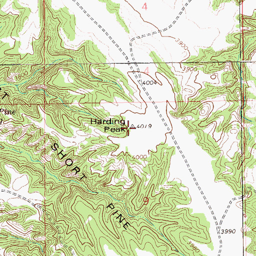 Topographic Map of Harding Peak, SD
