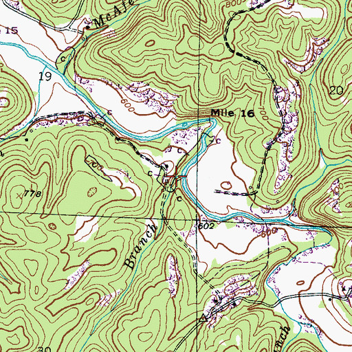 Topographic Map of Reid Branch, AL