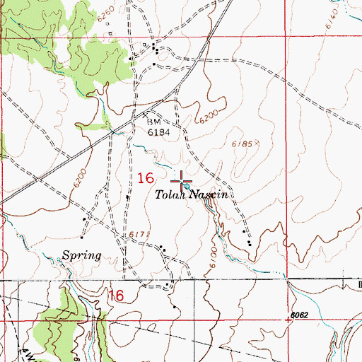 Topographic Map of Tolah Nascin, AZ