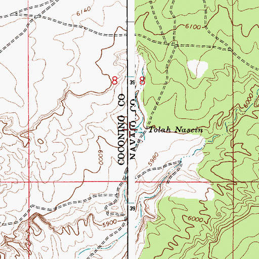 Topographic Map of Tolah Nascin, AZ