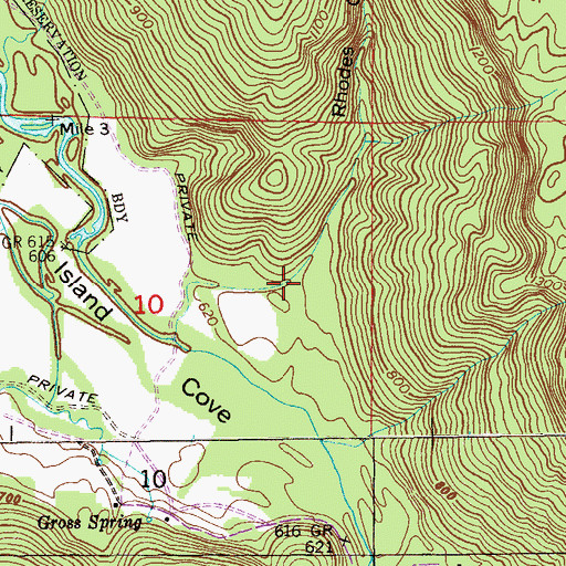 Topographic Map of Rhodes Gulf, AL
