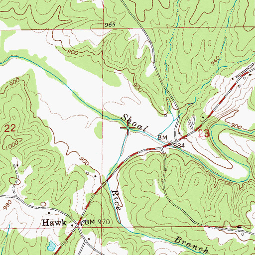 Topographic Map of Rice Branch, AL