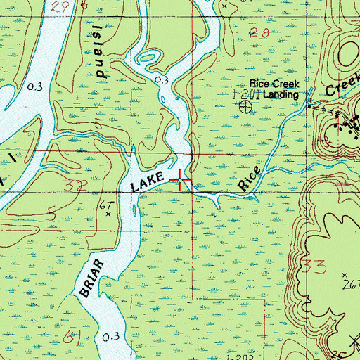 Topographic Map of Rice Creek, AL