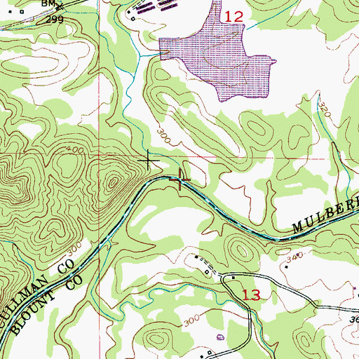 Topographic Map of Rice Creek, AL