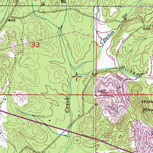 Topographic Map of Richard Branch, AL