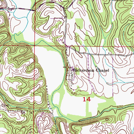 Topographic Map of Richardson Chapel, AL