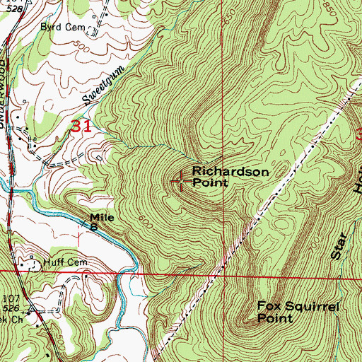 Topographic Map of Richardson Point, AL