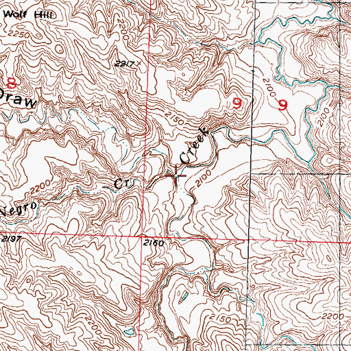Topographic Map of Little Negro Creek, SD