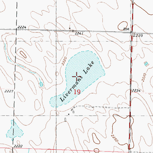 Topographic Map of Livermant Lake, SD