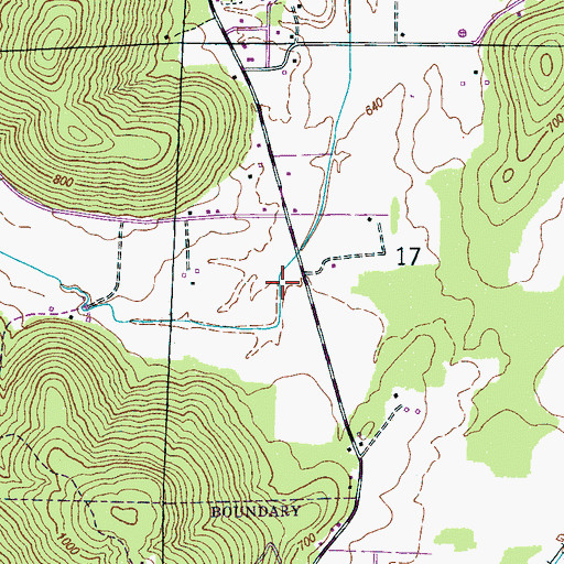 Topographic Map of Riley Cove, AL