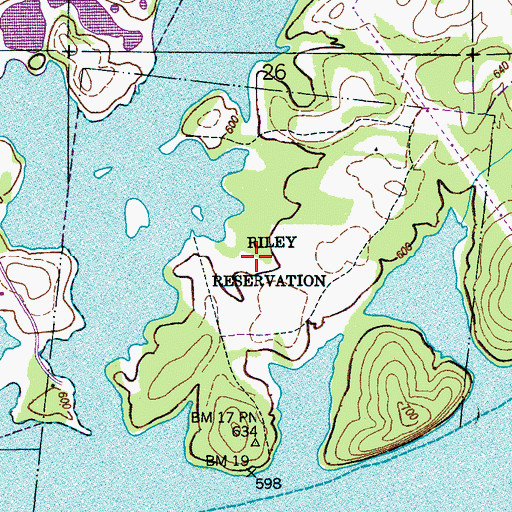 Topographic Map of Riley Reservation, AL