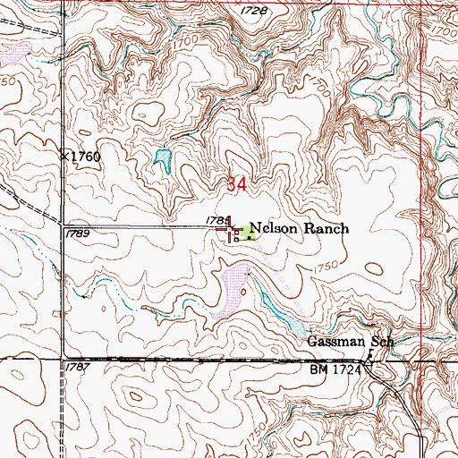 Topographic Map of Nelson Ranch, SD