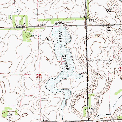 Topographic Map of Nelson Slough, SD