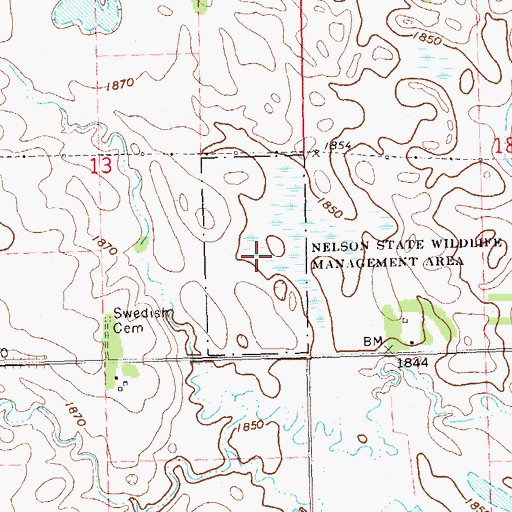 Topographic Map of Nelson State Wildlife Management Area, SD