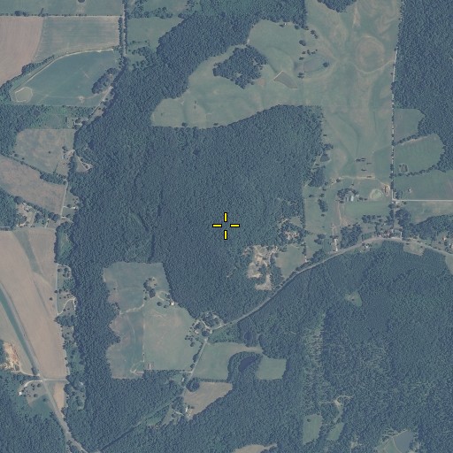 Aerial/Satellite Image of Roach Back, AL