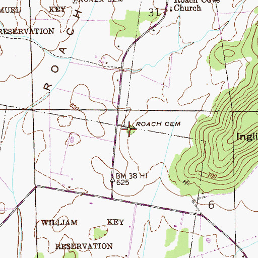 Topographic Map of Roach Cemetery, AL