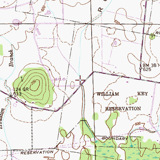 Topographic Map of Roach Cove, AL