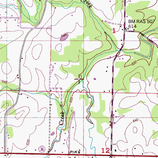 Topographic Map of Roan Branch, AL