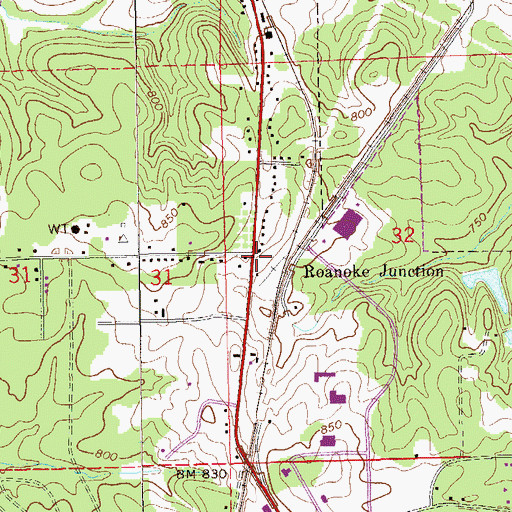 Topographic Map of Roanoke Junction, AL