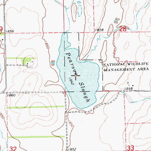 Topographic Map of Pearson Slough, SD