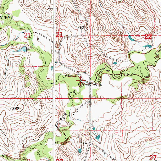 Topographic Map of Petes Creek, SD