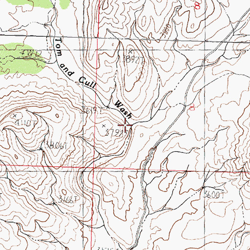 Topographic Map of Tom and Cull Wash, AZ