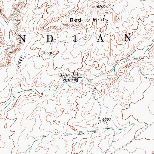 Topographic Map of Tom Joe Spring, AZ