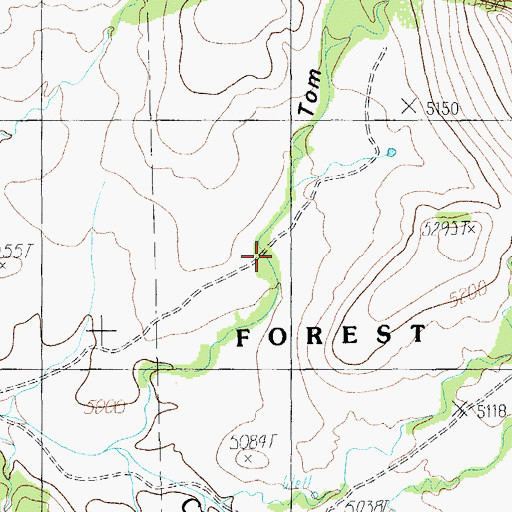 Topographic Map of Tom Ketchum Canyon, AZ
