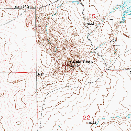 Topographic Map of Susie Peak, SD