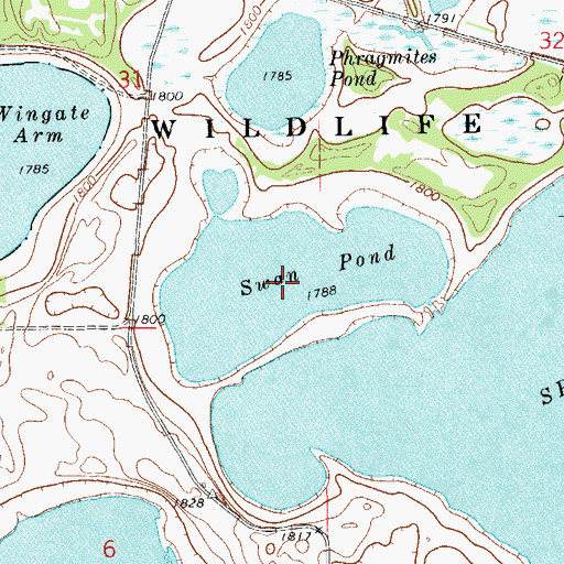 Topographic Map of Swan Pond, SD