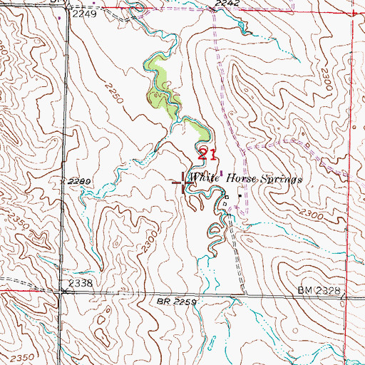 Topographic Map of White Horse Springs, SD