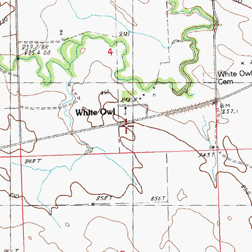 Topographic Map of White Owl, SD