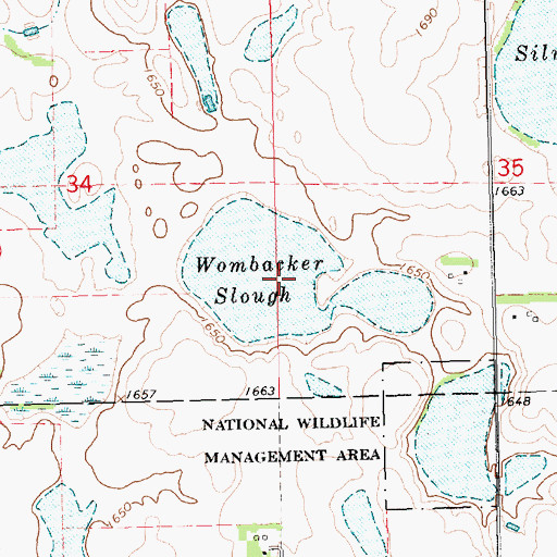 Topographic Map of Wombacker Slough, SD