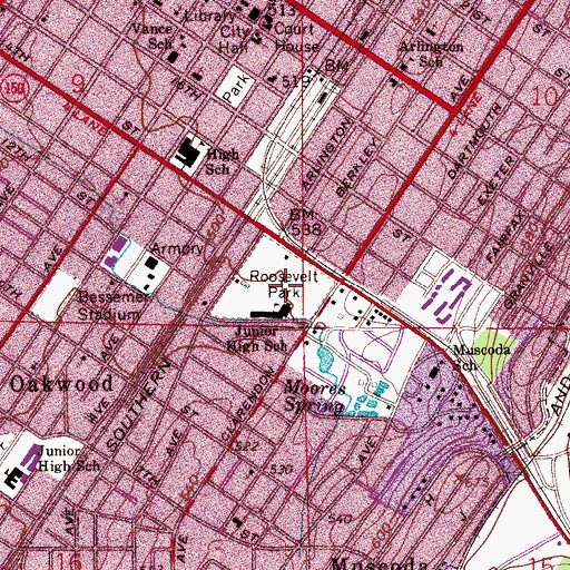 Topographic Map of Roosevelt Park, AL
